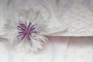 【August 2019】5 Best Sanitary Pads Available at Japanese Drugstores