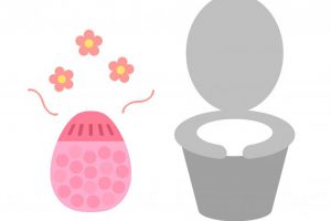 【December 2020】 5 Best Toilet Deodorants Available at Japanese Drugstores